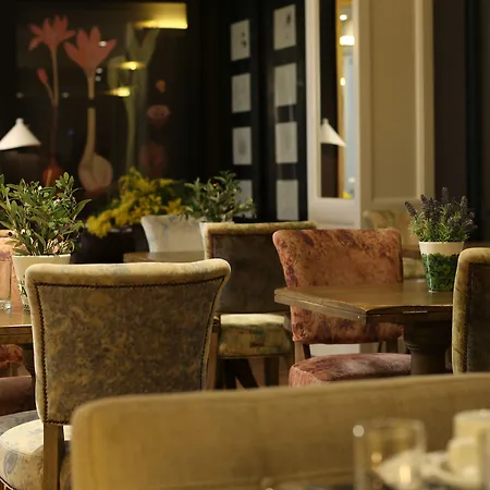 Ofelias 4sup Hotel 4*