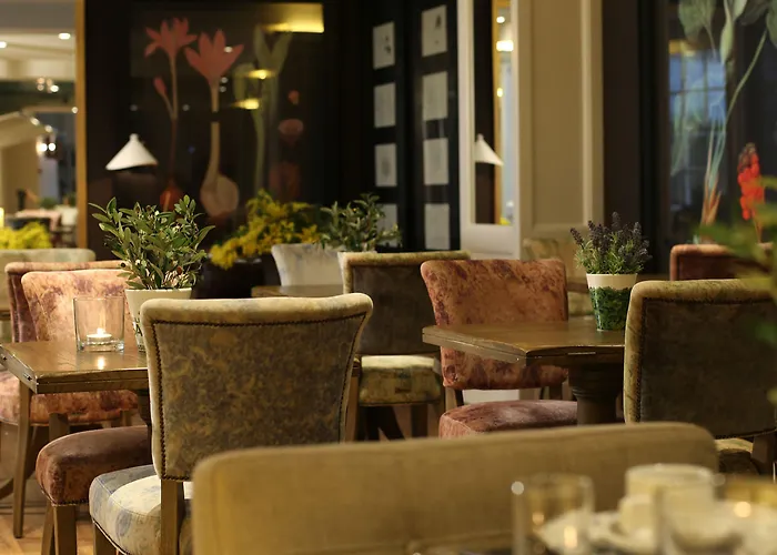 Ofelias 4sup Hotel 4*