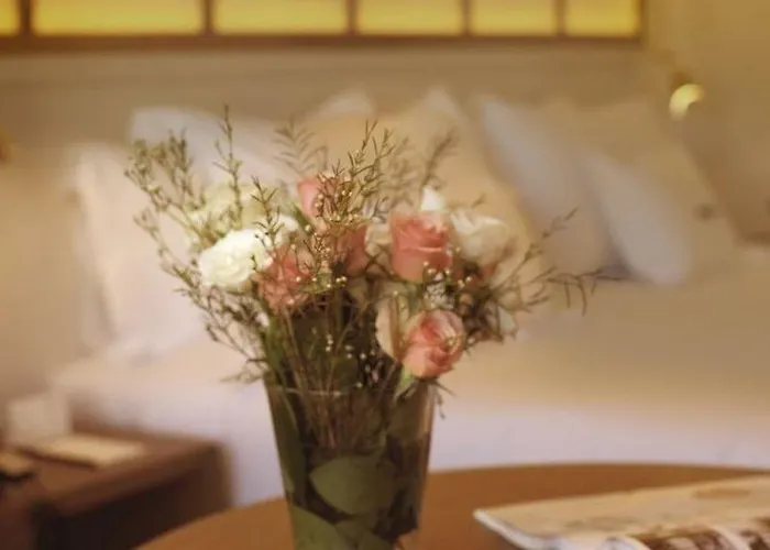 Ofelias 4sup Hotel Barcelona